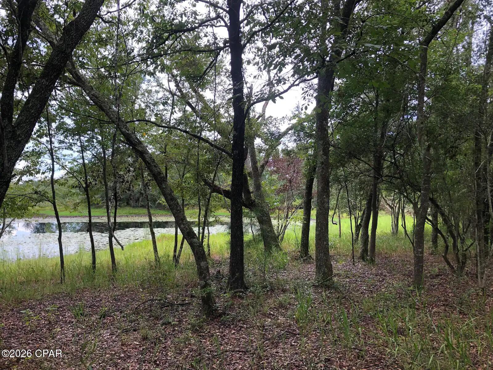 0 Little Zion Road Sneads, FL 32460 - Photo 10 of 13