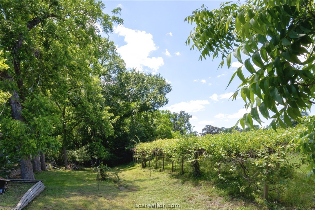 749 South Cass Street Centerville, TX 75833 - Photo 29 of 30 a view of a house with a yard