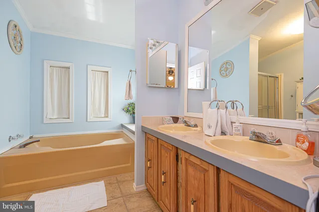 a bathroom with a tub sink and mirror