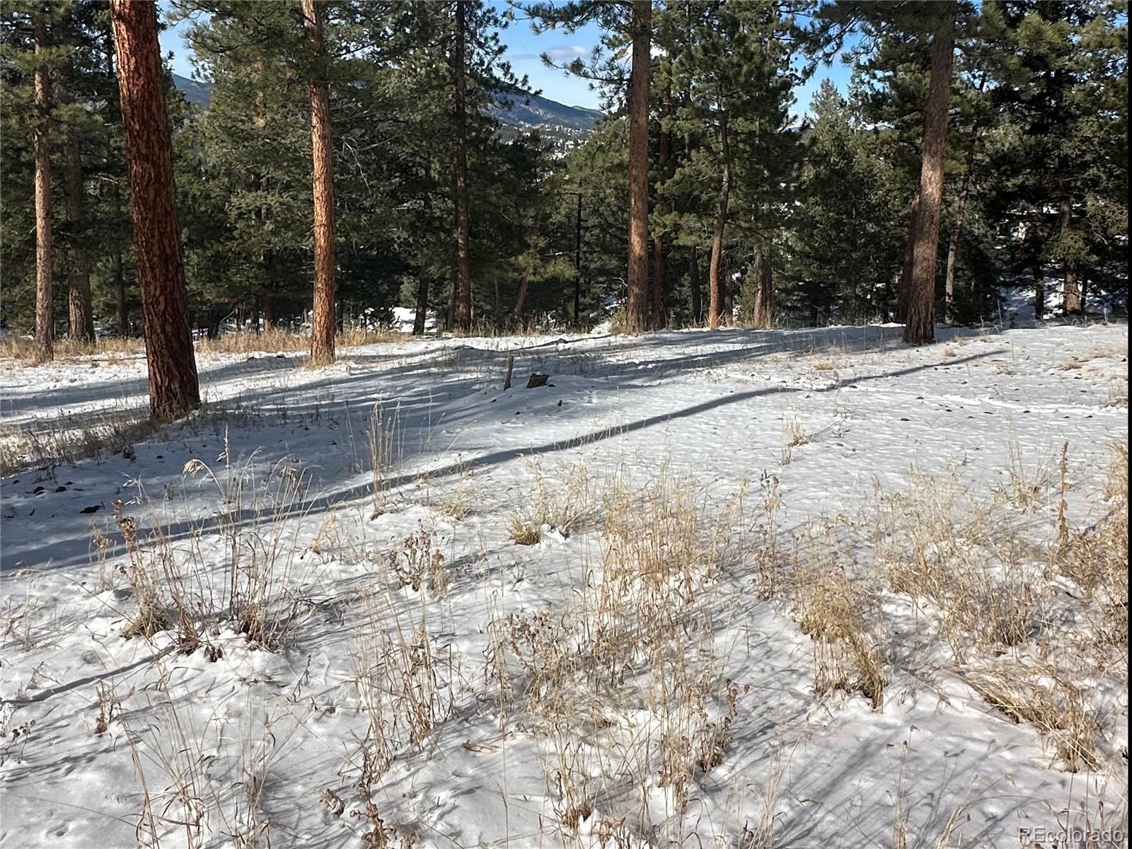 27876 Mariposa Road Evergreen, CO 80439 - Photo 14 of 14 Gallery Image 14