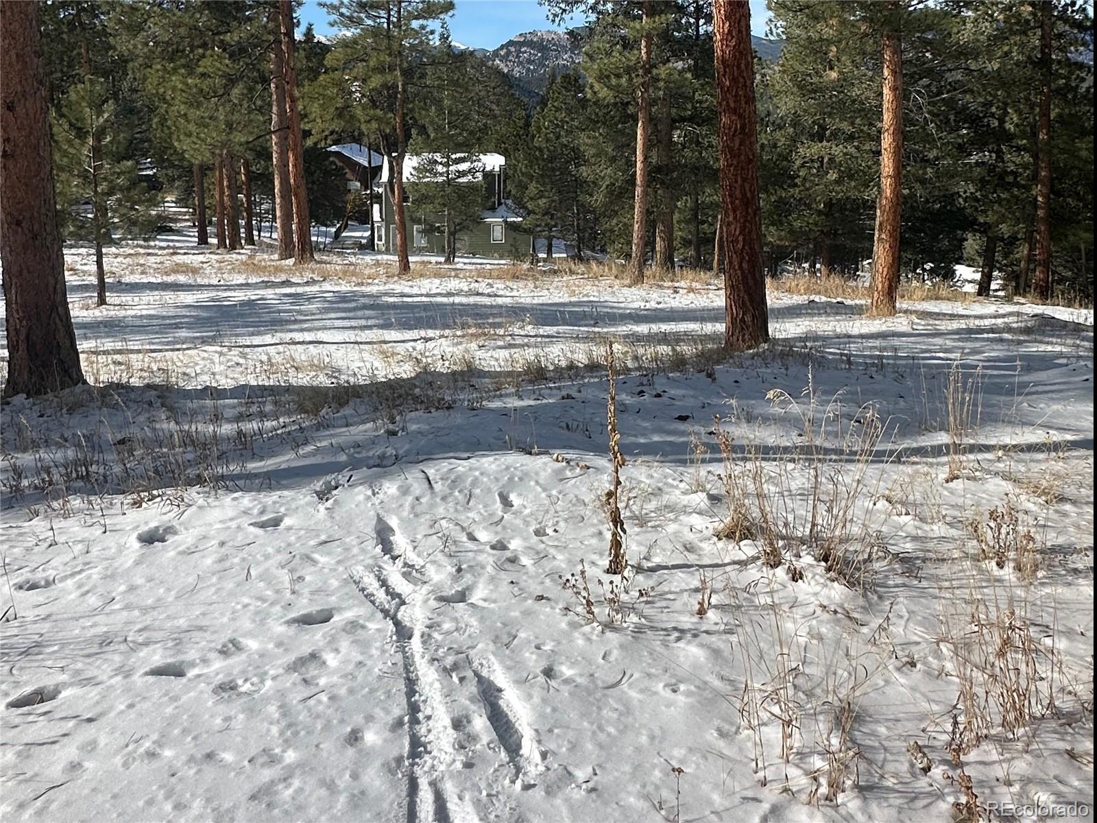 27876 Mariposa Road Evergreen, CO 80439 - Photo 7 of 14 Gallery Image 7