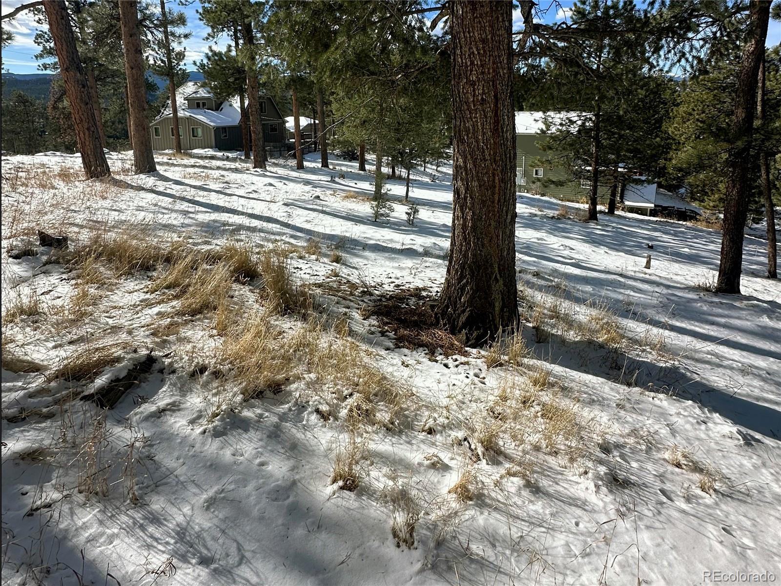27876 Mariposa Road Evergreen, CO 80439 - Photo 9 of 14 Gallery Image 9