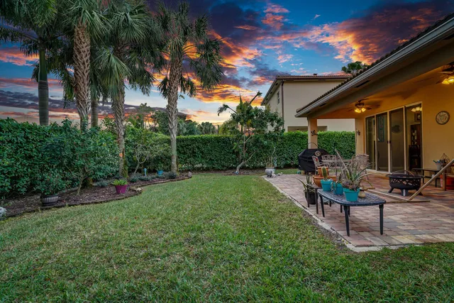 a view of a backyard with plants
