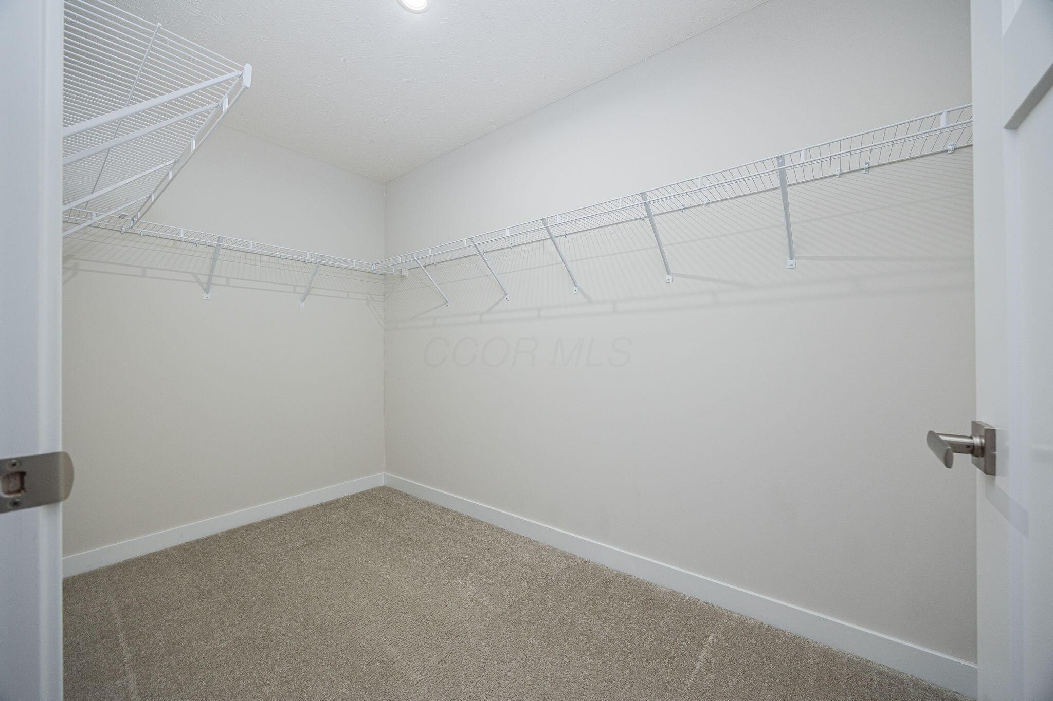 206 Talla Road South Delaware, OH 43015 - Photo 21 of 58 Owners walk-in closet