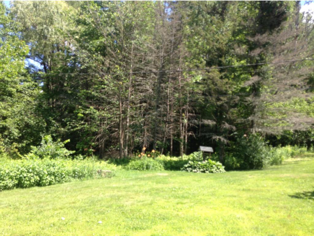 470 Chestnut Hill Road Farmington, NH 03835 - Photo 4 of 10