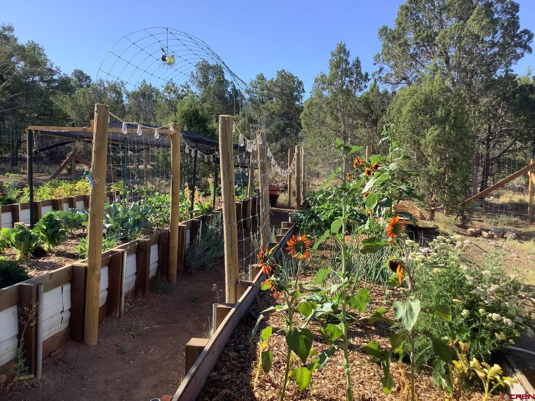 553 Cow Canyon Road Ignacio, CO 81137 - Photo 14 of 34