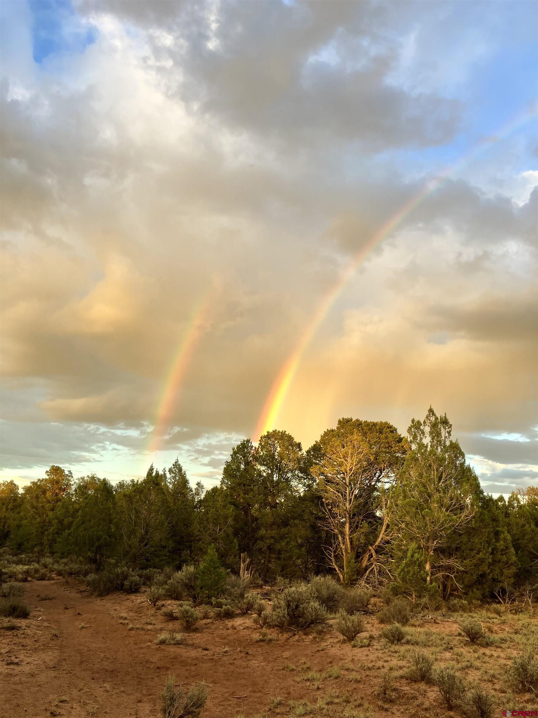 553 Cow Canyon Road Ignacio, CO 81137 - Photo 19 of 34