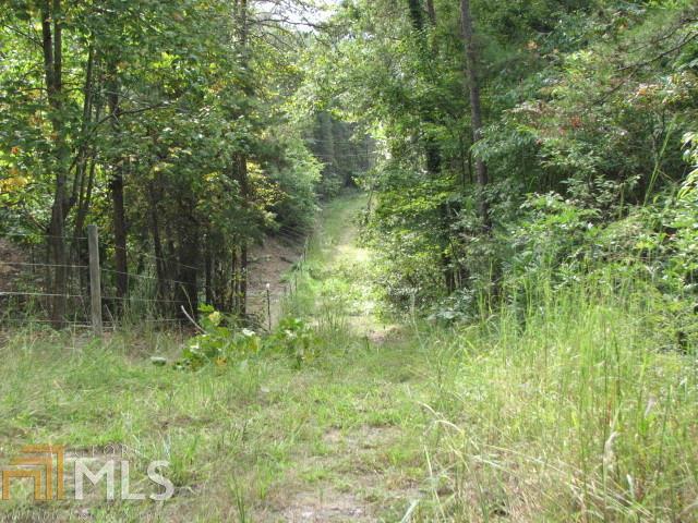 0 Eagle Rest Road Dahlonega, GA 30533 - Photo 1 of 1 Roadway along the property
