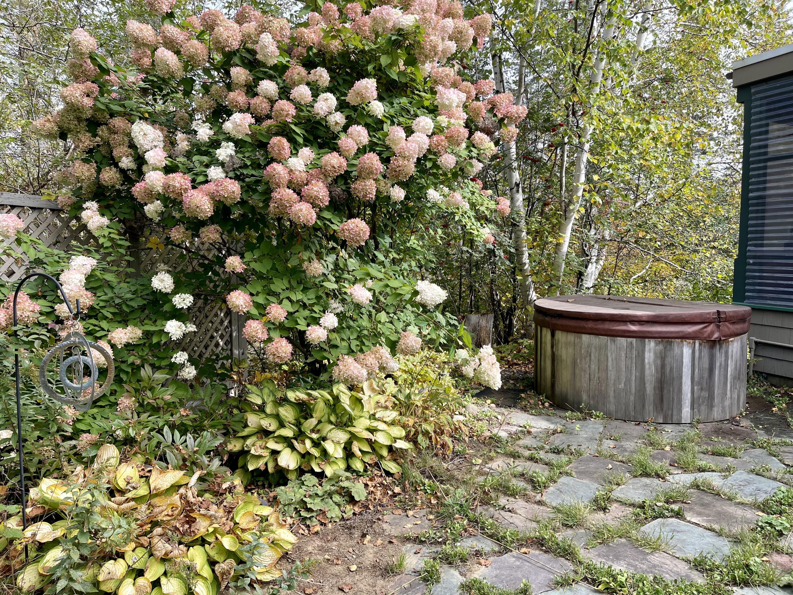 252 Parsons Road Presque Isle, ME 04769 - Photo 19 of 22 Side yard