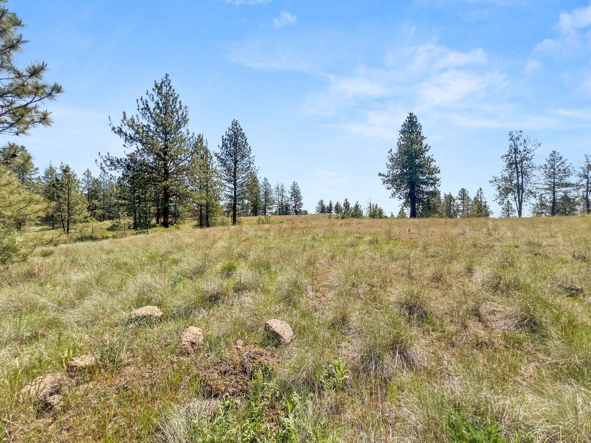 0 West Highland Road Ford, WA 99013 - Photo 36 of 41