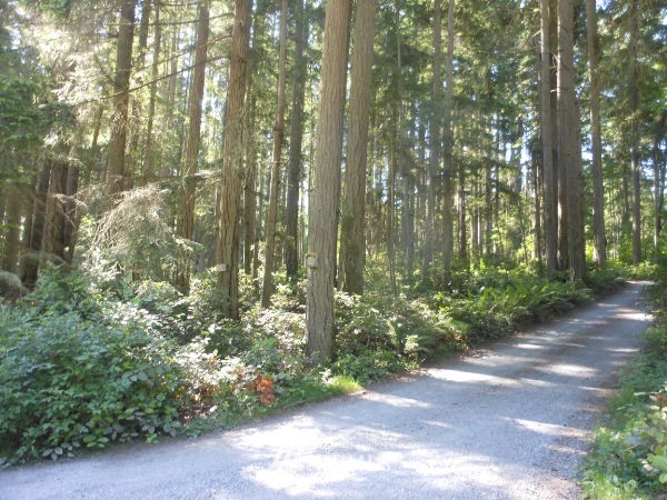 115-xx Southwest Bank Road Vashon, WA 98070 - Photo 1 of 1
