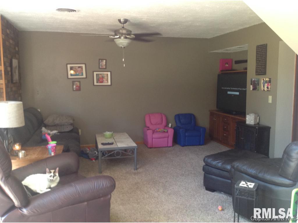 211 3rd Street Manchester, IL 62082 - Photo 3 of 24