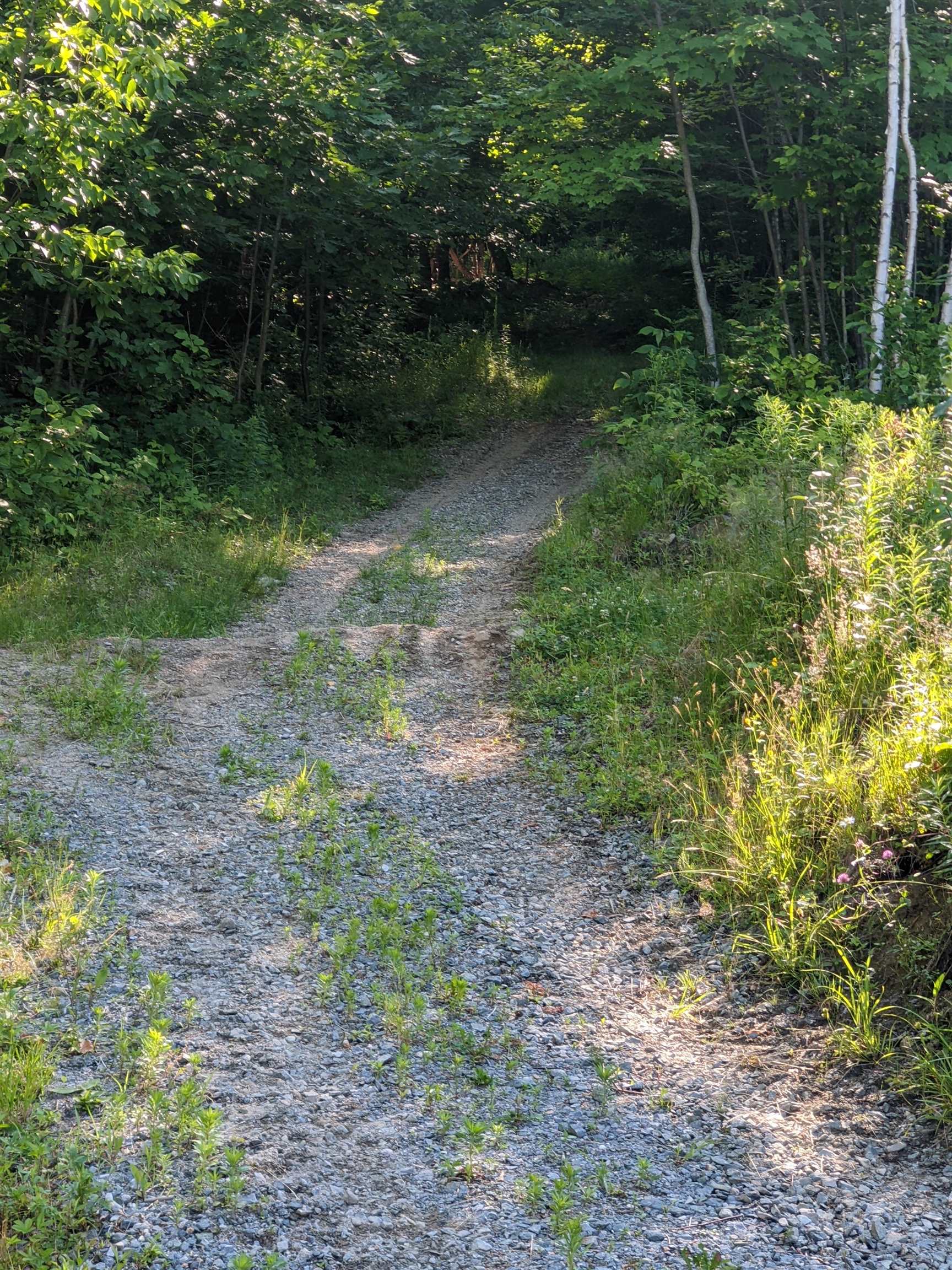 0 Savage Hill Road Jefferson, NH 03583 - Photo 19 of 22 Gallery Image 19