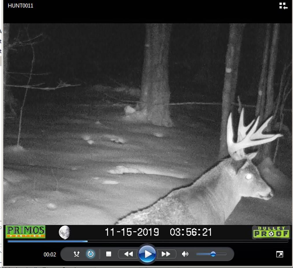 0 Savage Hill Road Jefferson, NH 03583 - Photo 20 of 22 Gallery Image 20