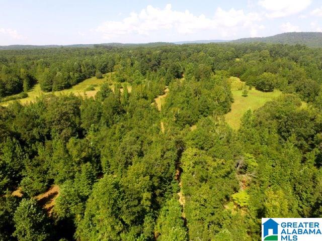 2265 State Lake Road Lineville, AL 36266 - Photo 37 of 39