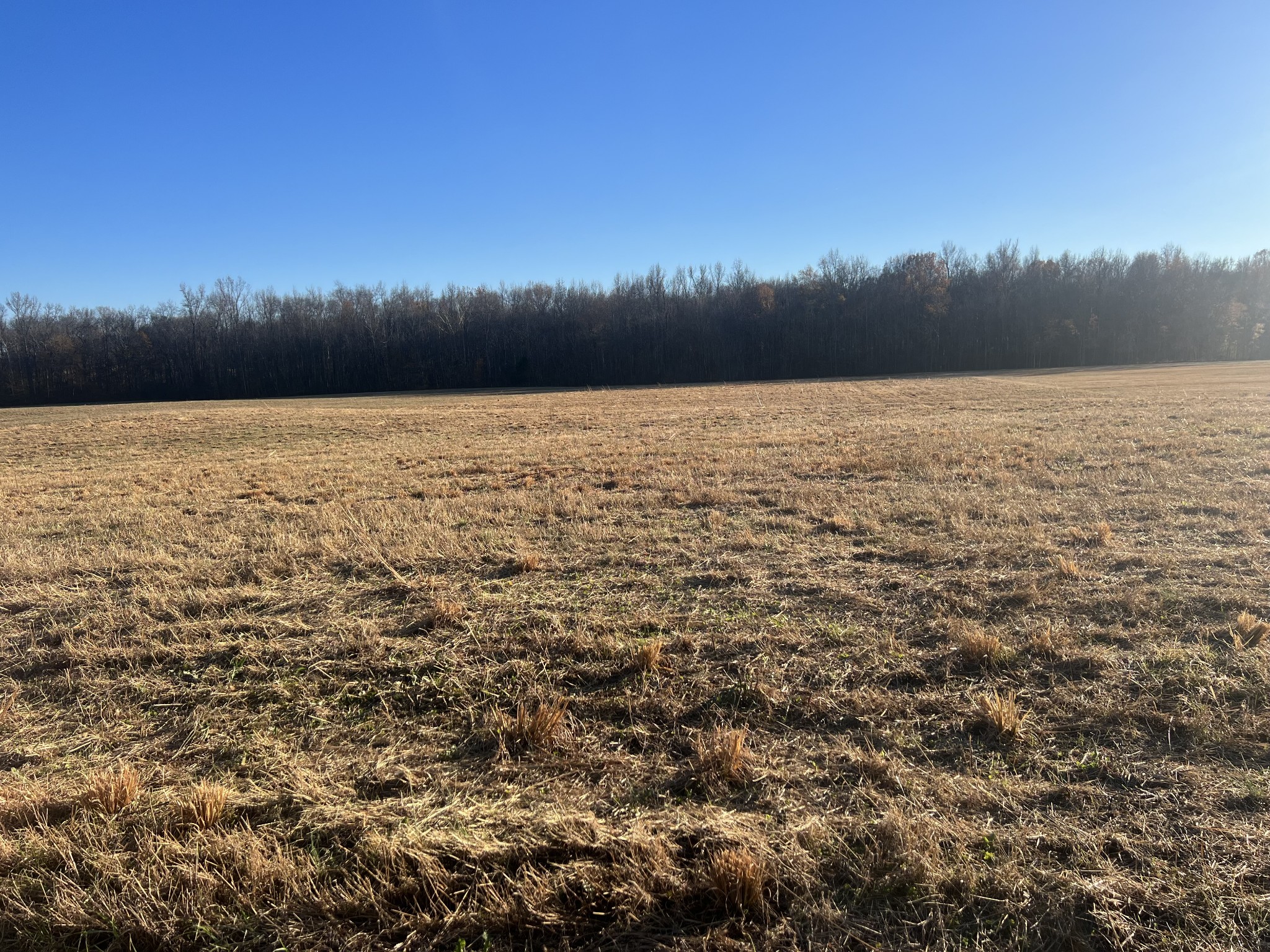 7 Bob Ramsey Road Morrison, TN 37357 - Photo 1 of 3 a view of lake