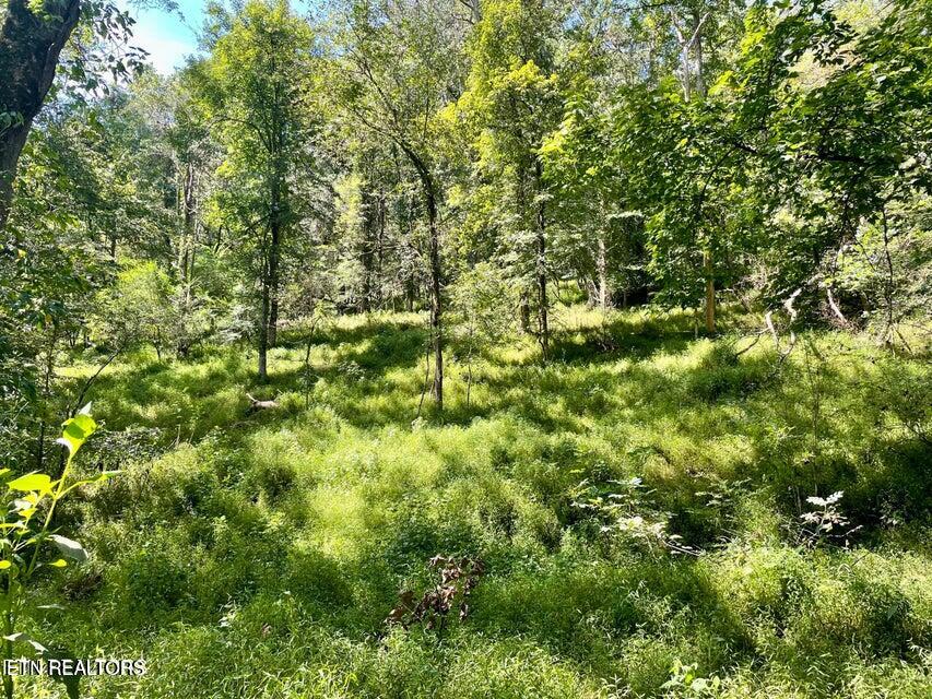 Valley Road Loudon, TN 37774 - Photo 6 of 9 20241009153601925226000000-o