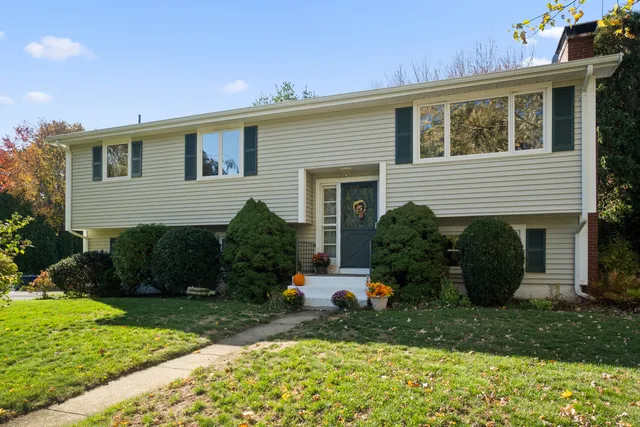 a view of a house with a yard and plants