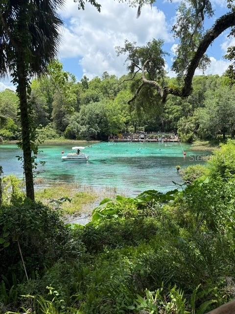 8935 Southwest 191st Circle Dunnellon, FL 34432 - Photo 24 of 24