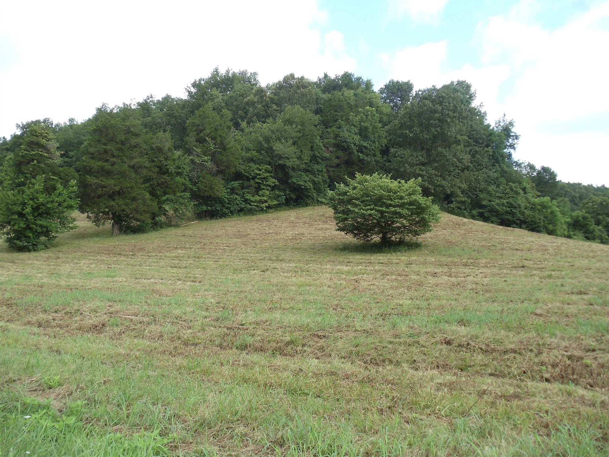 A "Hunters Dream" woods with mature trees loaded with deer & turkey!