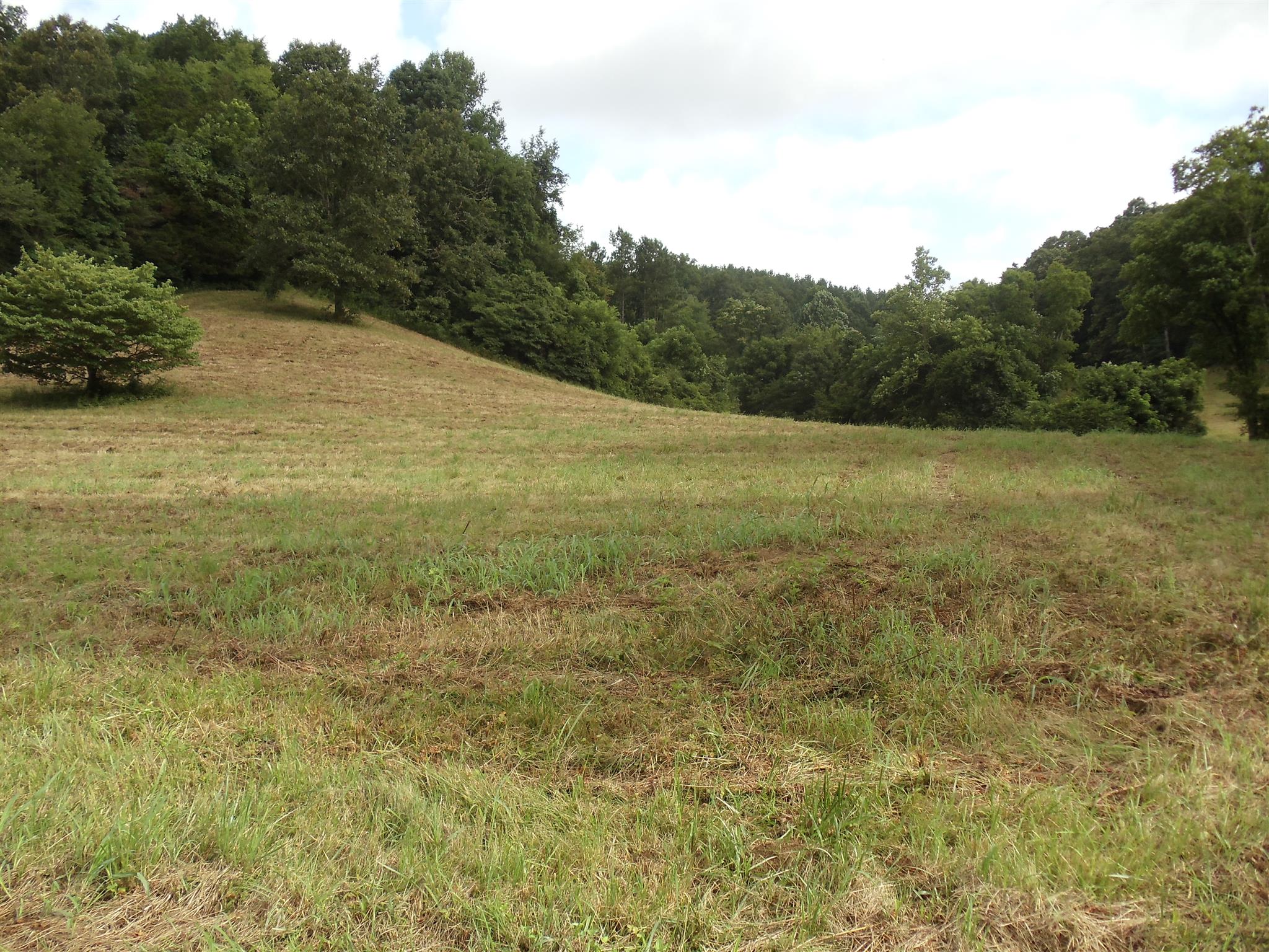90 Acres..74 acres in woods & 16 acres of pasture. 2 springs & stream.