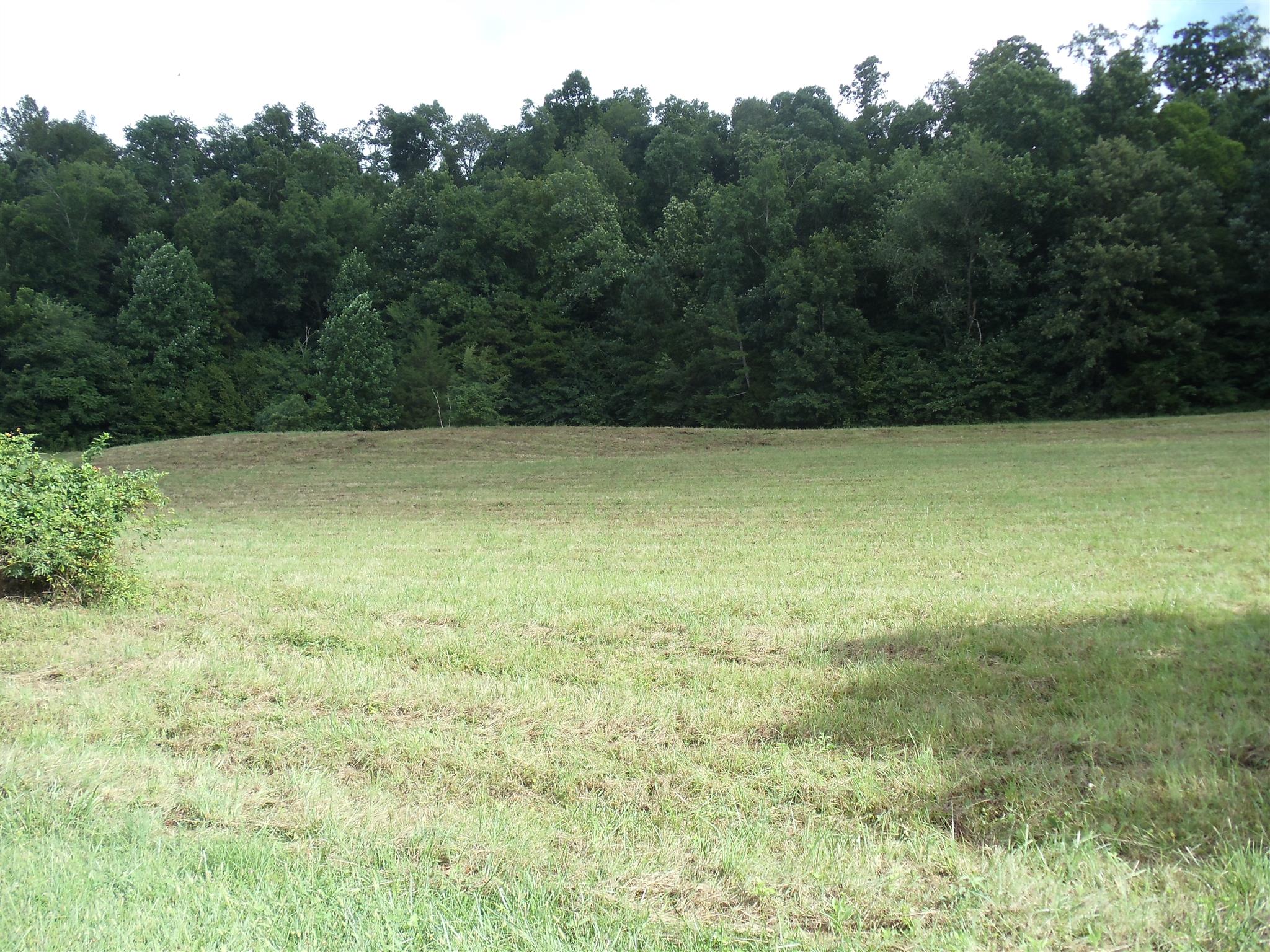 A mobile home has been moved from this site. Should still have septic connections