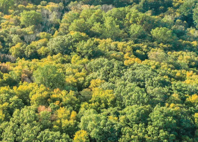 $2,880,000 | June Road, Stamford, CT 06903