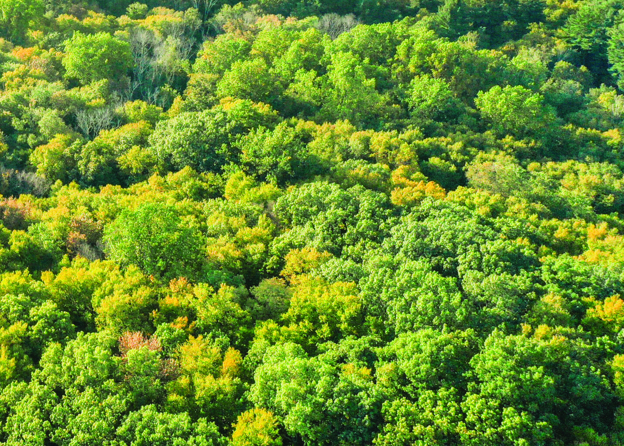 June Road Stamford, CT 06903 - Photo 3 of 7