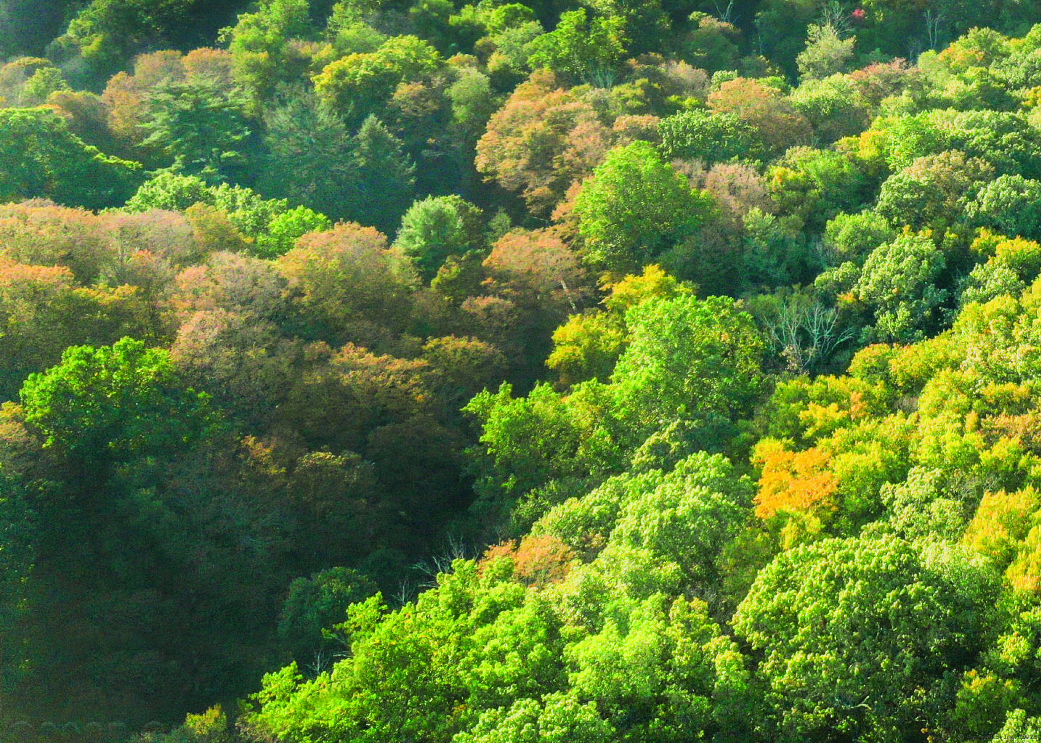 June Road Stamford, CT 06903 - Photo 4 of 7