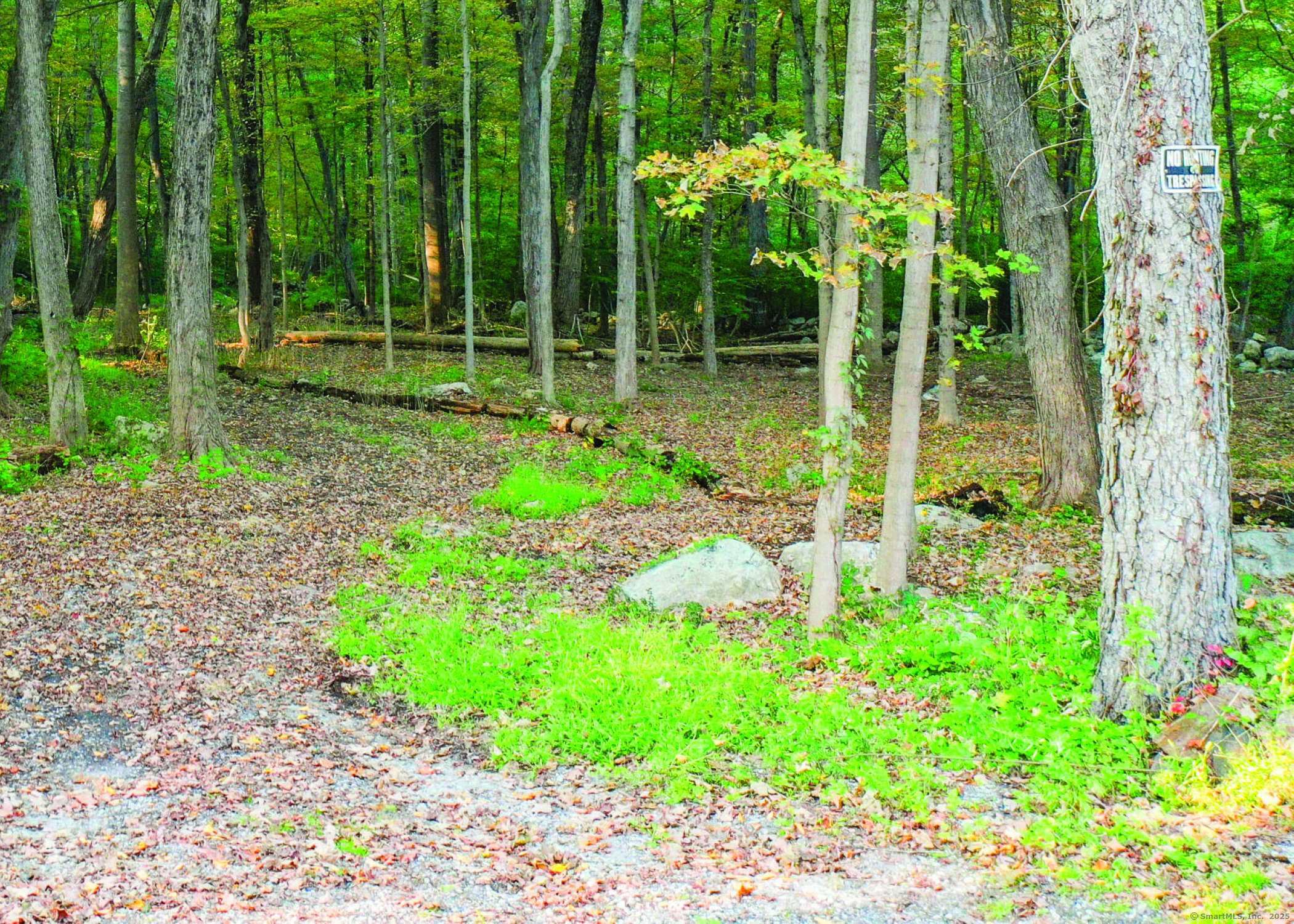 June Road Stamford, CT 06903 - Photo 5 of 7