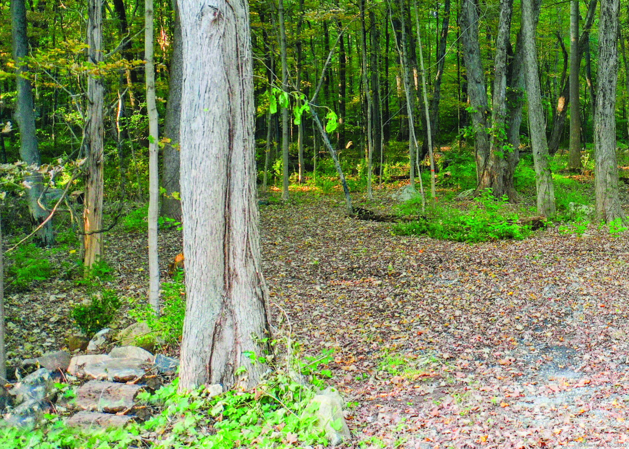 June Road Stamford, CT 06903 - Photo 6 of 7