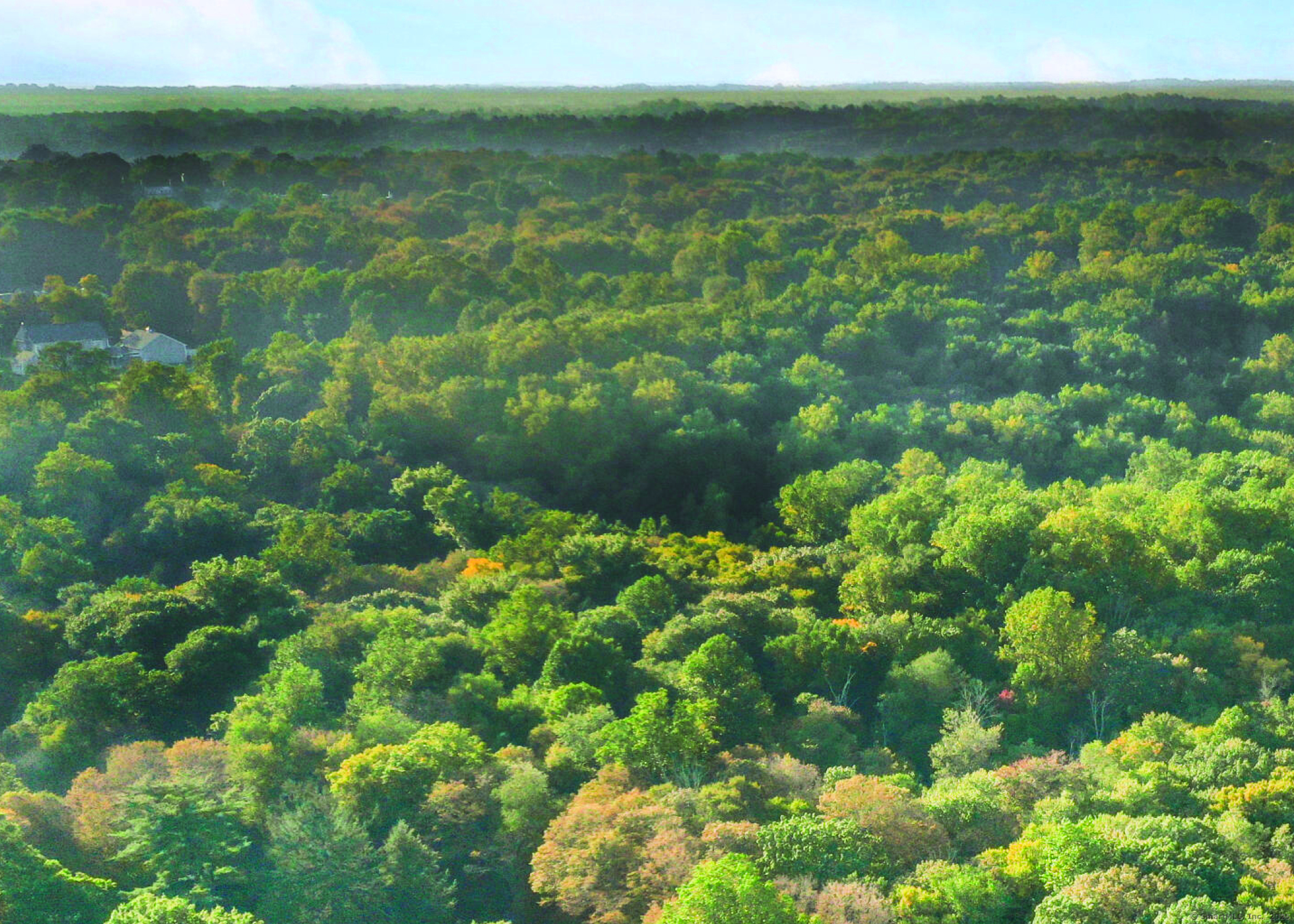 June Road Stamford, CT 06903 - Photo 7 of 7