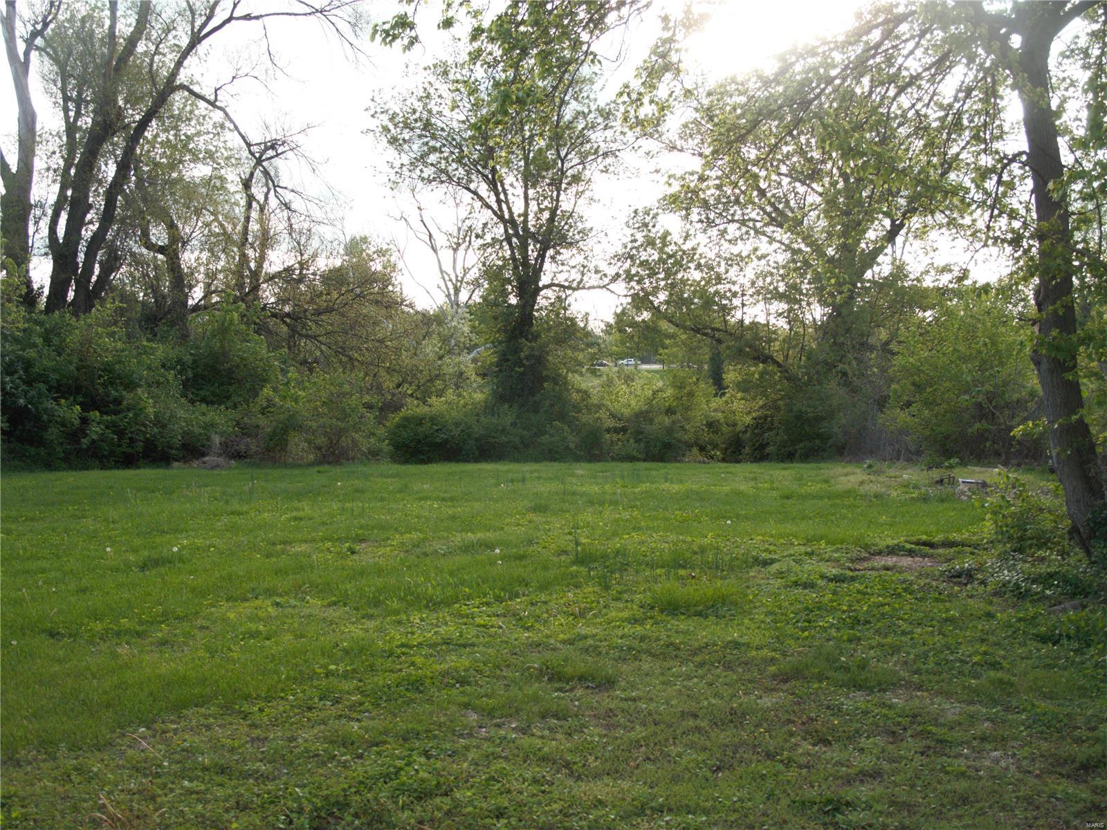 723 North Florissant Road St. Louis, MO 63135 - Photo 10 of 25 Gallery Image 10