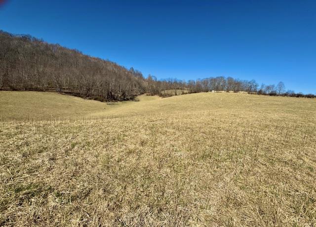2703 Foglesong Valley Road Ceres, VA 24318 - Photo 49 of 94 Gallery Image 49