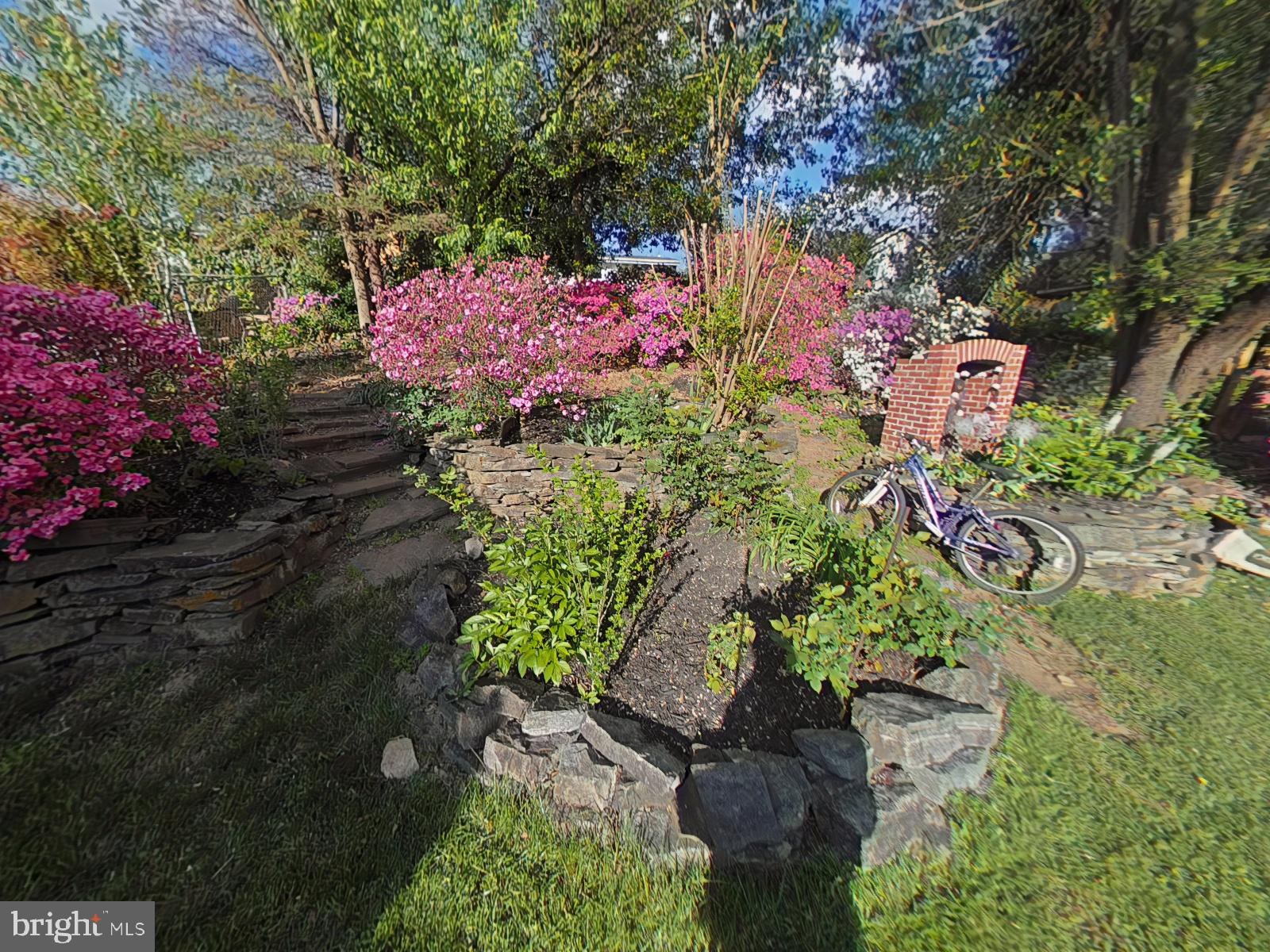 12807 Crisfield Road Silver Spring, MD 20906 - Photo 24 of 30 Lush garden with vibrant blooms.