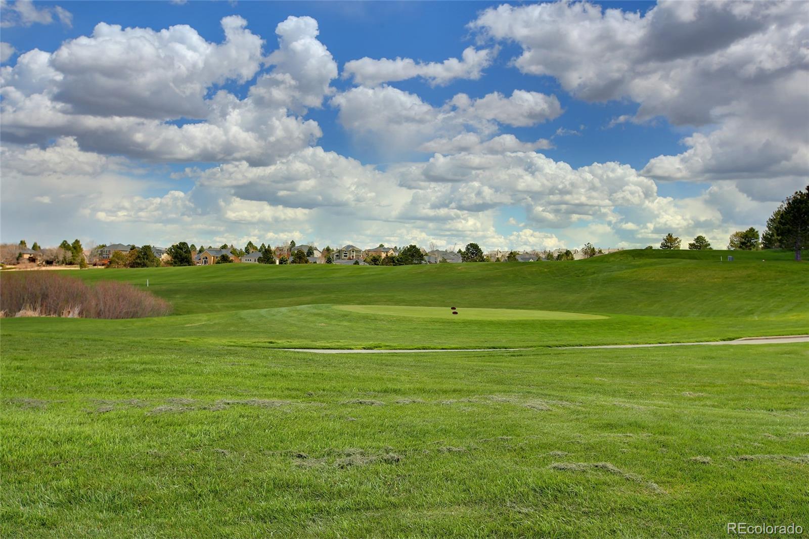7768 Edgewater Court Lone Tree, CO 80124 - Photo 35 of 39
