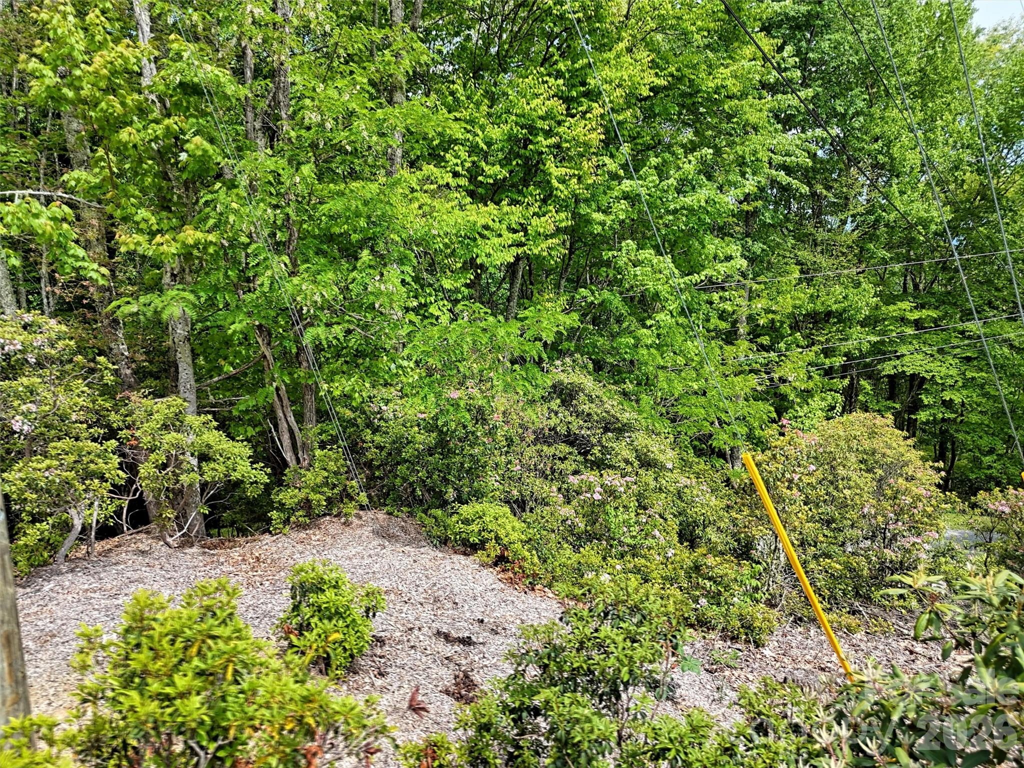 0 Leatherwood Road Maggie Valley, NC 28751 - Photo 11 of 15