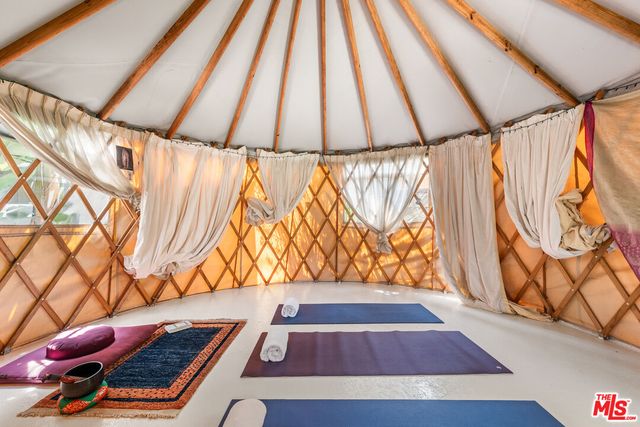 a potted plants sitting in front of a glass door