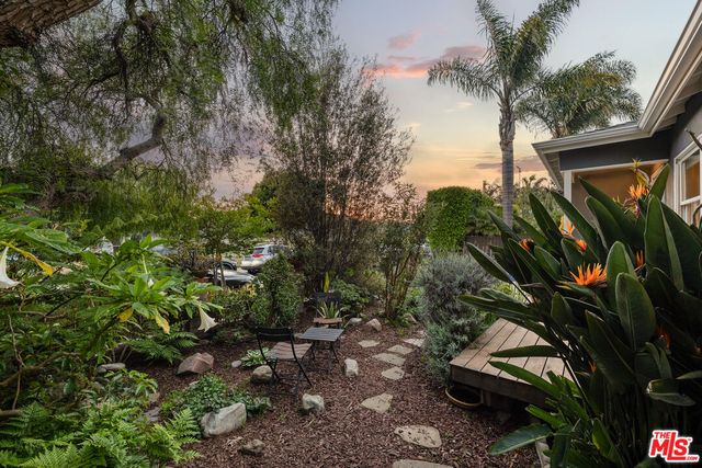 a view of a backyard with plants