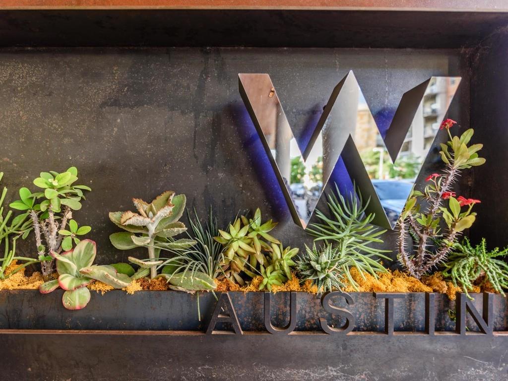 210 Lavaca Street, Unit 2808 Austin, TX 78701 - Photo 23 of 32 a street view with potted plants