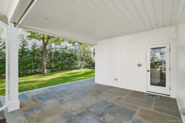 a view of a yard with plants and large trees