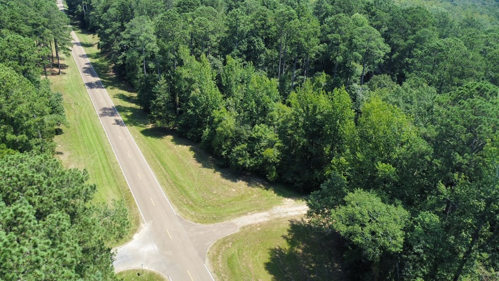 0 Whalen Road Carthage, MS 39051 - Photo 19 of 26 Photo 19
