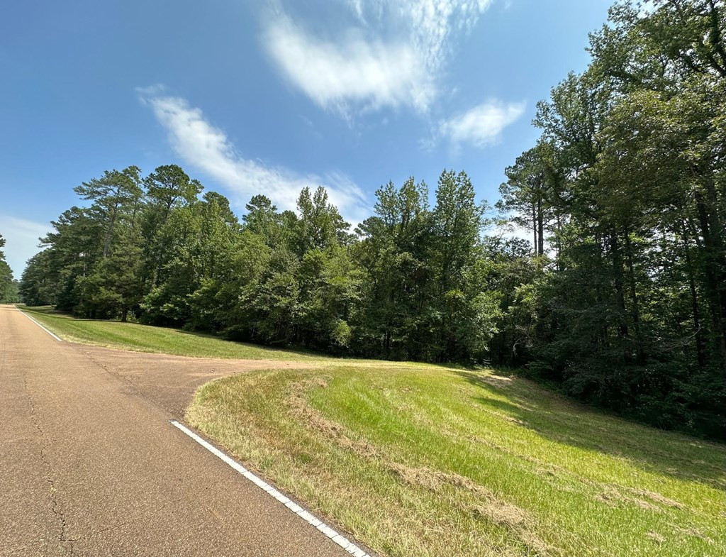 0 Whalen Road Carthage, MS 39051 - Photo 23 of 26 Photo 23