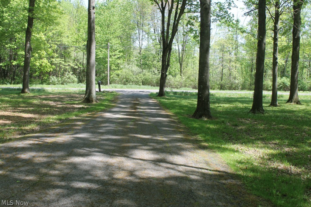 1999 Porter Road Atwater, OH 44201 - Photo 24 of 24 Love privacy??? View from the home looking toward the road. Awesome "U" shaped driveway!