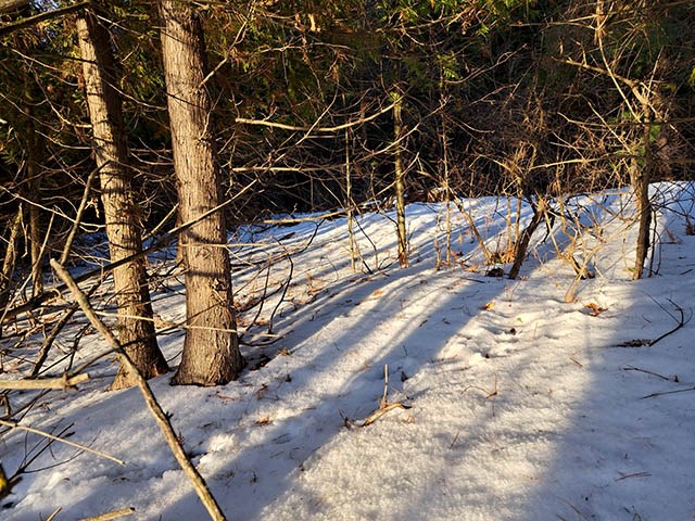 County Road East Baileys Harbor, WI 54202 - Photo 3 of 6