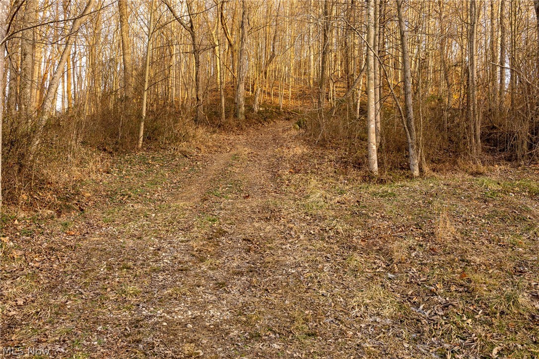 32290 Bailey Run Road Pomeroy, OH 45769 - Photo 4 of 41