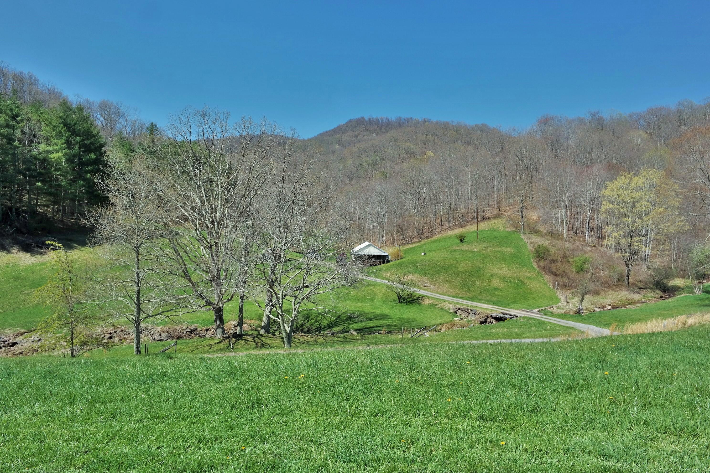 3678 Snake Run Road Alderson, WV 24910 - Photo 11 of 124 Gallery Image 11