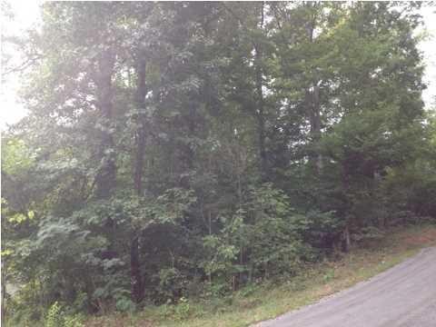 21 Savage Point Road Dunlap, TN 37327 - Photo 10 of 11 Gallery Image 10
