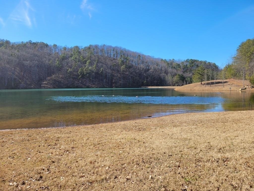 787 Woodbine Lane Ranger, GA 30734 - Photo 1 of 1 a view of a lake view