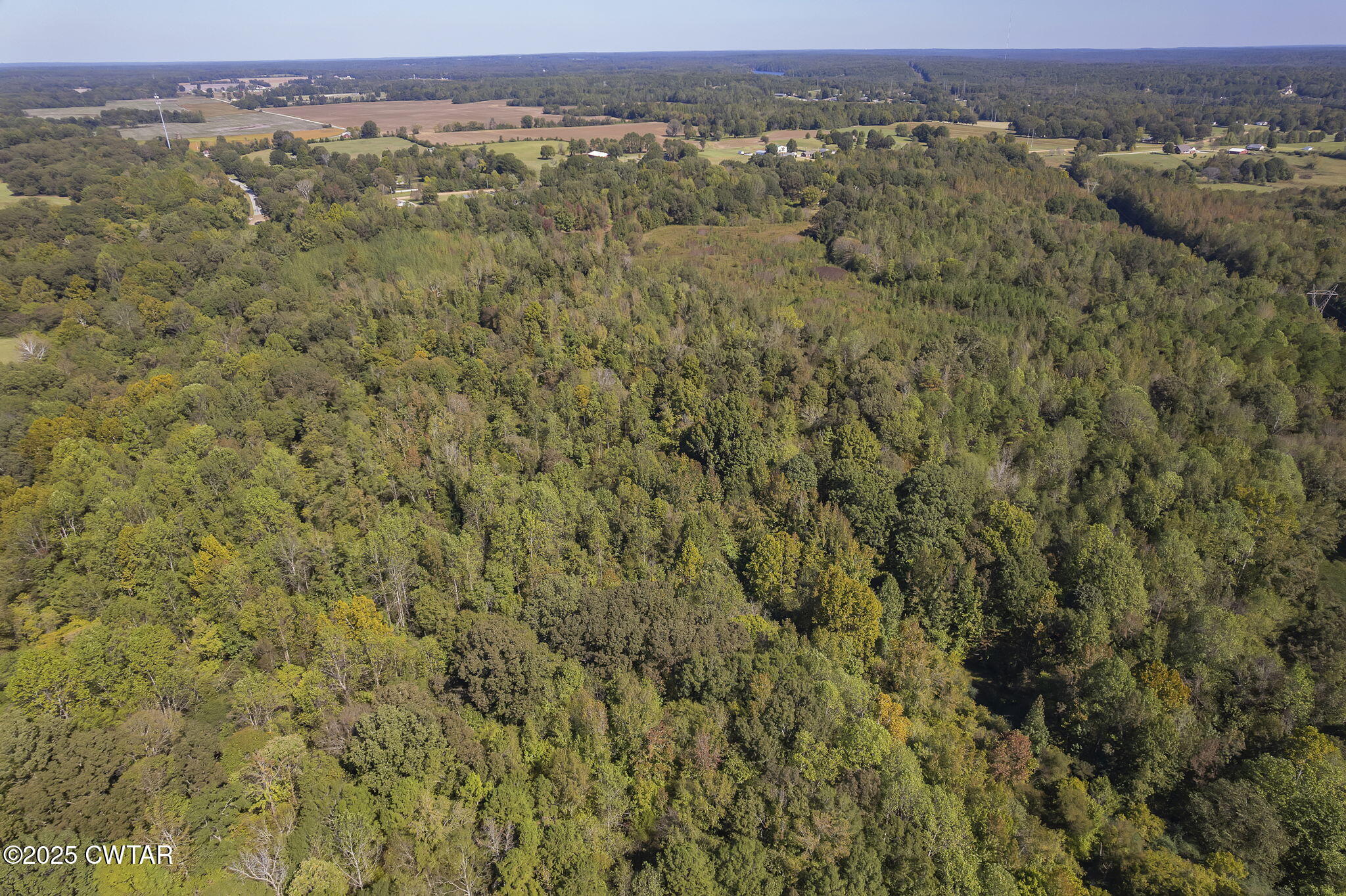 0 Beech Bluff Road Jackson, TN 38301 - Photo 13 of 15 an aerial view of forest